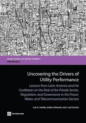 Uncovering the Drivers of Utility Performance 1