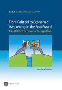 bokomslag From Political to Economic Awakening in the Arab World