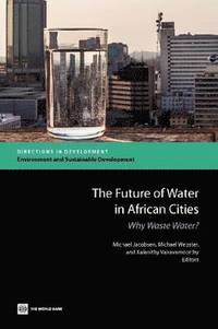 bokomslag The Future of Water in African Cities