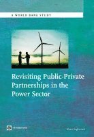 bokomslag Revisiting Public-Private Partnerships in the Power Sector