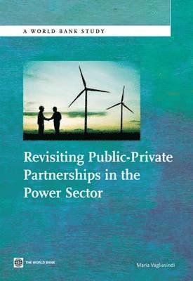 Maria Vagliasindi - Revisiting Public-Private Partnerships in the Power Sector, Häftad