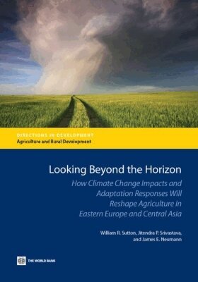 William R. Sutton, Jitendra P. Srivastava, James E. Neumann, William R. Sutton, Jitendra P. Srivastava - Looking Beyond the Horizon, Häftad