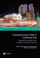 bokomslag Energizing Green Cities in Southeast Asia