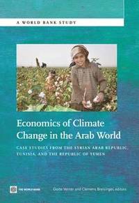 bokomslag Economics of Climate Change in the Arab World