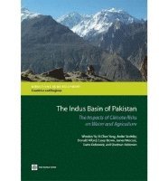 The Indus Basin of Pakistan 1