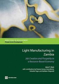 bokomslag Light Manufacturing in Zambia