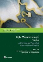 Dinh Hinh, Hinh T. Dinh - Light Manufacturing in Zambia, Häftad