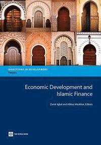 bokomslag Economic Development and Islamic Finance