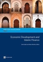 bokomslag Economic Development and Islamic Finance