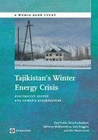 bokomslag Tajikistan's Winter Energy Crisis