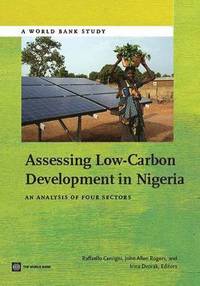 bokomslag Assessing Low-Carbon Development in Nigeria