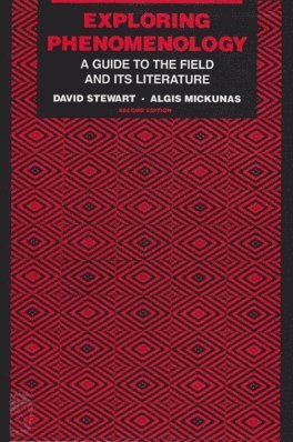 Exploring Phenomenology