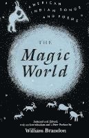 Magic World 1