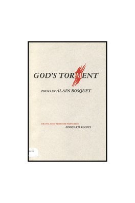 bokomslag God'S Torment