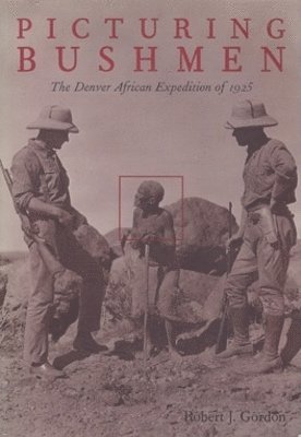 bokomslag Picturing Bushmen