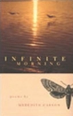Infinite Morning