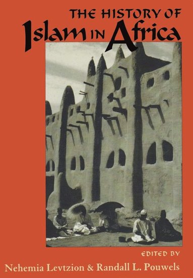 bokomslag History of Islam in Africa