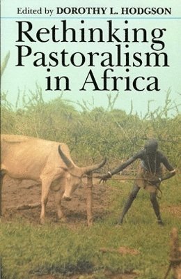 bokomslag Rethinking Pastoralism in Africa