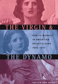 bokomslag Virgin and the Dynamo