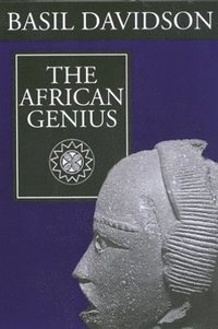 bokomslag African Genius