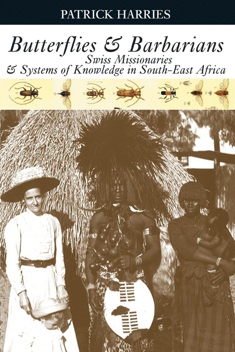 Butterflies & Barbarians