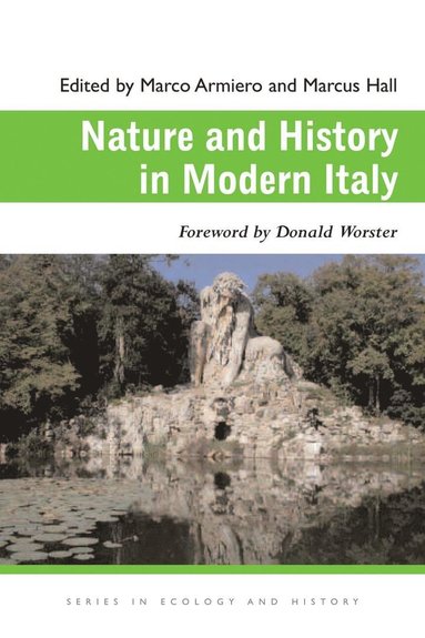 bokomslag Nature and History in Modern Italy