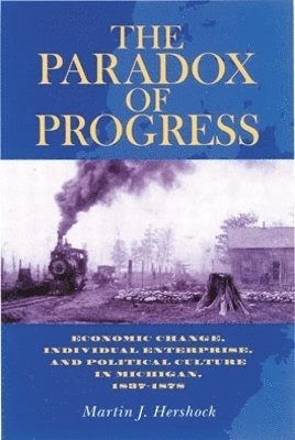 bokomslag The Paradox of Progress