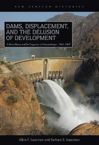 bokomslag Dams, Displacement, and the Delusion of Development