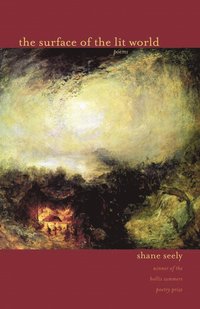 bokomslag Surface of the Lit World