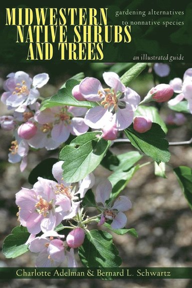 bokomslag Midwestern Native Shrubs and Trees