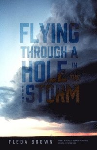 bokomslag Flying through a Hole in the Storm