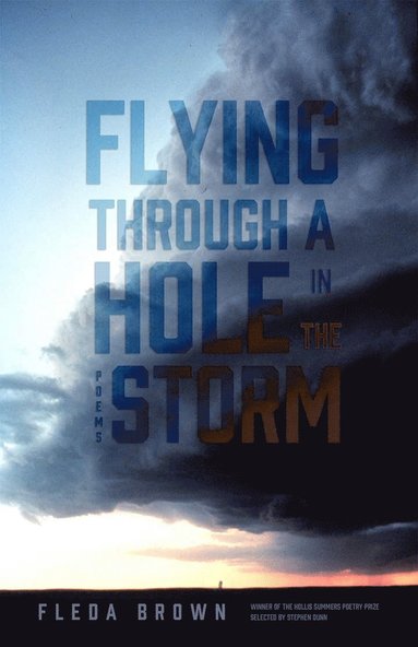 bokomslag Flying Through a Hole in the Storm