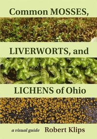 bokomslag Common Mosses, Liverworts, and Lichens of Ohio