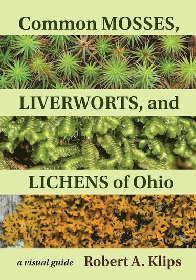 bokomslag Common Mosses, Liverworts, and Lichens of Ohio