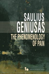bokomslag Phenomenology of Pain