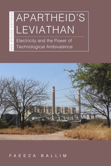 bokomslag Apartheid's Leviathan