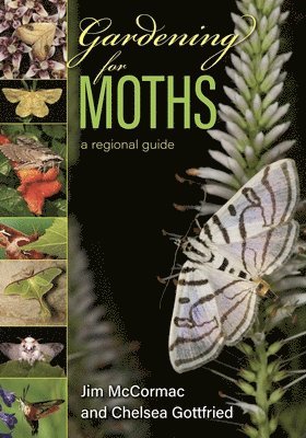 Gardening for Moths 1