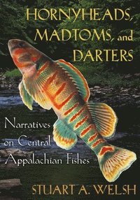 bokomslag Hornyheads, Madtoms, and Darters