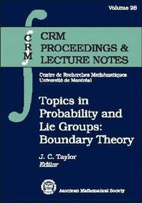 bokomslag Topics in Probability and Lie Groups: Boundary Theory