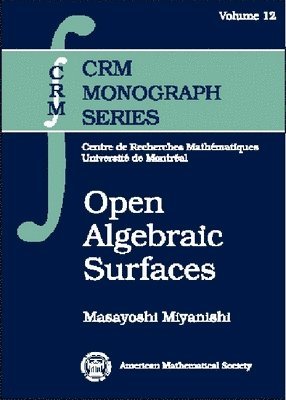 bokomslag Open Algebraic Surfaces