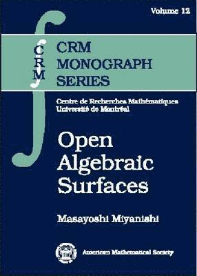 Masayoshi Miyanishi - Open Algebraic Surfaces, Inbunden