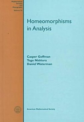 bokomslag Homeomorphisms In Analysis