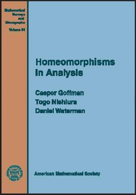 Homeomorphisms In Analysis, Inbunden