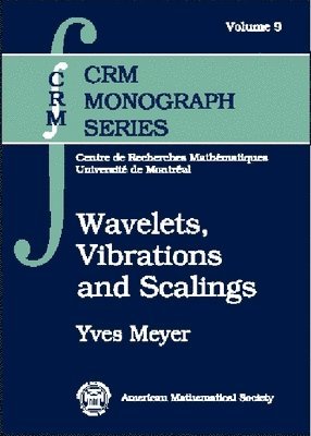 bokomslag Wavelets, Vibrations and Scalings