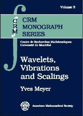 Wavelets, Vibrations and Scalings 1