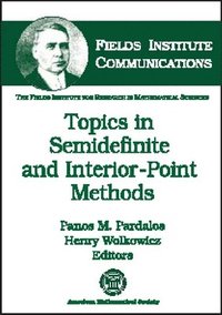 bokomslag Topics in Semidefinite and Interior-point Methods