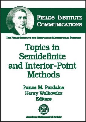 bokomslag Topics in Semidefinite and Interior-point Methods