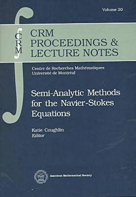 bokomslag Semi-analytic Methods for the Navier-Stokes Equations