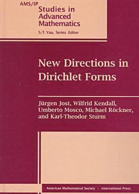 New Directions in Dirichlet Forms, Inbunden