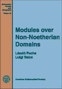 bokomslag Modules over Non-Noetherian Domains